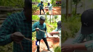 ചുടലിമുള്ള് ഉപയോഗിച്ച് പിടികൂടി vavasuresh snakemaster [upl. by Slosberg]