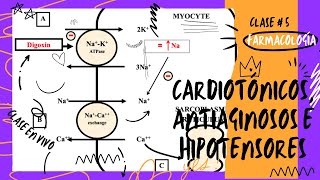 5 CARDIOTÓNICOS ANTIAGINOSOS E HIPOTENSORES [upl. by Anaeg513]