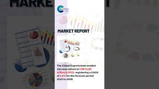 Caprolactam Market Report 2024 Global Edition [upl. by Ahsinehs398]