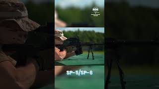 VSS Special Sniper Rifle Silent Shot for Special Forces [upl. by Suruat135]