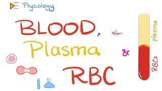 Blood Plasma and Red Blood Cells  Physiology of Blood and Immune System  Physiology Playlist [upl. by Riccardo]