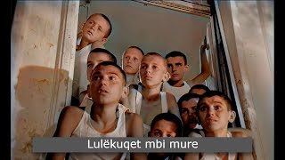 Lulëkuqet mbi mure  Sulo Full HD Colorised [upl. by Sula]