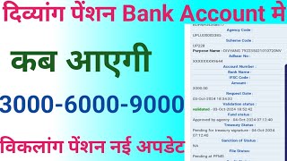 Viklang pension kab aayegi  Up viklang pension payment kab aayega  Viklang pension new update [upl. by Iams]