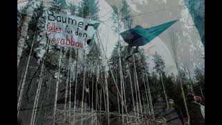 Nur zu Besuch im Altdorfer Wald  Teilrodung an einem Kieswerk bei Ravensburg  Oberschwaben [upl. by Vergne]