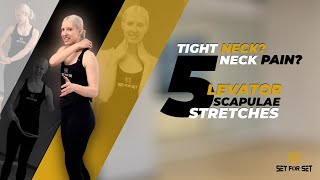 5 Levator Scapulae Stretches to Relieve Neck Tension [upl. by Ajin]