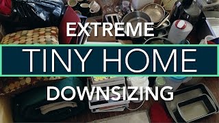 Downsizing 2017 Film Explained In English With Subtitles [upl. by Ecienahs]