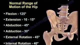 Anatomy of Movement Of The Hip  Everything You Need To Know  Dr Nabil Ebraheim [upl. by Corliss798]