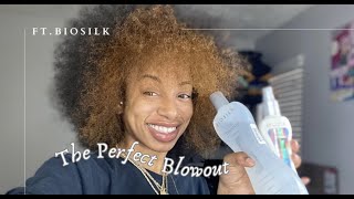 THE PERFECT BLOWOUT  FT BIOSILK  LOOK WHAT HAPPENED [upl. by Eelirol633]