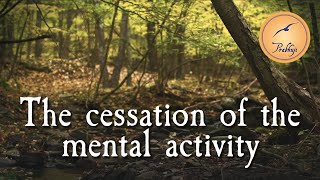 The cessation of the mental activity  Gurudevi [upl. by Josie155]