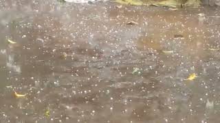 Blantyre Malawi  October Ice Pelletball rain [upl. by Lorain54]