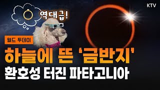 금반지가 하늘에 두둥실 감탄사 절로 나오는 우주쇼｜화가로 변신한 조니 뎁｜파리에 ‘스파이더맨’ 출몰｜세계를 뒤흔든 귀여움 새끼 하마 ‘무뎅’ [upl. by Anelrihs]