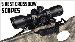 Top 5 Best Crossbow Scopes in 2024 Review [upl. by Ert394]