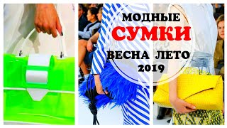 МОДНЫЕ СУМКИ Весна  Лето 2019 Тренды сезона Какие сумки в моде в 2019 году [upl. by Aisela]