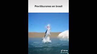 Povtiburones en Brasil 🦈 [upl. by Niassuh]