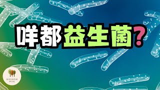 【益生菌】6分鐘帶你認識益生菌︱益生菌洗頭水有用嗎︱香港生髮育髮關注組︱中文字幕 [upl. by Anirret]