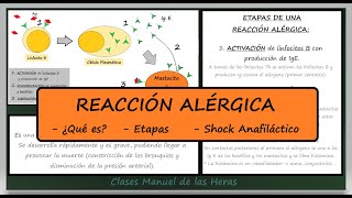 La Reacción Alérgica Alérgenos Shock Anafiláctico Inmunología Biología Bachillerato [upl. by Novaelc]