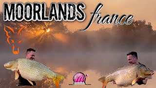 MOORLANDS FISHERY FRANCE CARP FISHING in session amp guide to Moorlands [upl. by Aramahs]