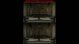 Gameplay  1555 Spot the Difference Ruffle  13 [upl. by Aitahs]