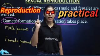 mam got angry on reproduction practical physicswallah [upl. by Hayes806]