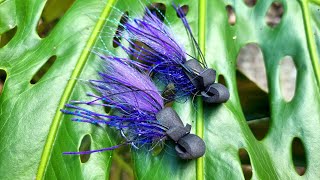 Gurgler Fly Pattern  Bug style [upl. by Anenahs]