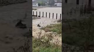 Hochwasserschutz wirkt Rückhaltebecken am Tannenbach in Weinburg verhindert enormen Schaden [upl. by Ruel]