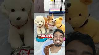 Angry 😡 Dog 🐕🤣😂funny shorts [upl. by Notlaw990]