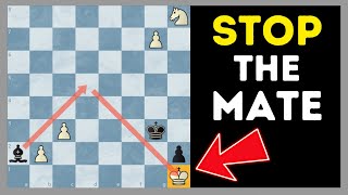 5 Chess Puzzles Guaranteed To Fool You 🤔 [upl. by Blunt]