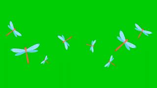 DRAGONFLIES Animated in Green Screen  GameZone PH [upl. by Virgilia]