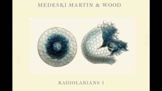 Medeski Martin amp Wood  God Fire [upl. by Cirilo]