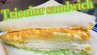 Tricolor sandwich l Tiranga sandwich l kids breakfast l evening snack l 5 mins breakfast recipe [upl. by Anaillil204]