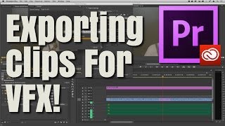 How To Export Clips Out Of Premiere Pro CC VFX Colorist  Perfect Post Production [upl. by Sunshine556]