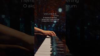 VECHERA Lyrics [upl. by Aseneg89]