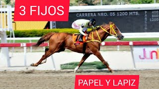 Datos Fijos para el Hipódromo La Rinconada Domingo 03 de Marzo 2024 [upl. by Einafats458]