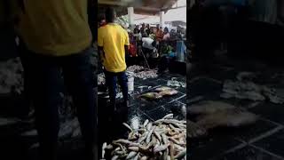 MNADA WA SAMAKI KILWA clip fishing shortvideo ocean bmu mnada [upl. by Guria]