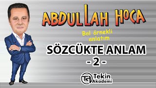 SÖZCÜKTE ANLAM 2 BOL ÖRNEKLİ KONU ANLATIMI [upl. by Yud]