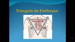 Triangulo de Einthoven [upl. by Farmann]