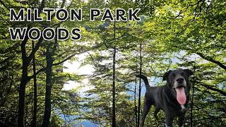 Milton Park Woods [upl. by Ayotel222]