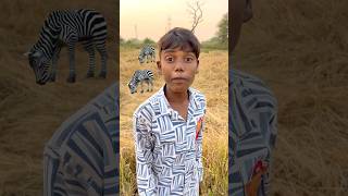 CHOTU KA VILAGE TIGER shorts FACTFIREKING [upl. by Dinan721]