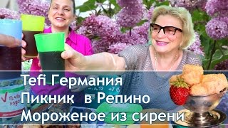 Встреча с Тefi Германия и Мороженое из сирени [upl. by Yllas]