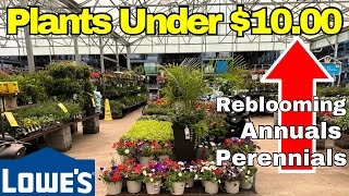 NEW Lowes Garden Center  June 2024 Inventory  Shop With Me At Lowes 🌺 [upl. by Darby]