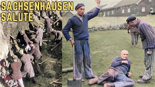 The Sachsenhausen Salute  WWIIs Most BRUTAL Torture Method [upl. by Ahsinned]