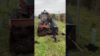 Fertilizing vineyard with compost at Weingut Sattlerhof Austria thewinearound wine compost [upl. by Ahsennod]