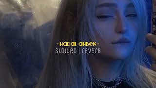 hadal ahbek  slowed reverb  for best experience 🎧 [upl. by Naic]