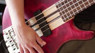 Bartolini MK1 vs MK5C bass pickups [upl. by Nylzor]