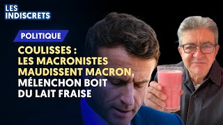 DISSOLUTION  LES MACRONISTES MAUDISSENT MACRON SCHIAPPA SINCRUSTE MÉLENCHON BOIT DU LAIT FRAISE [upl. by Inej]