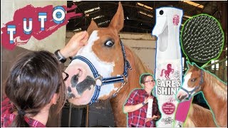 TUTORIEL DEMELER ET BROSSER LA CRINIERE DE SON CHEVAL [upl. by Lesnah]