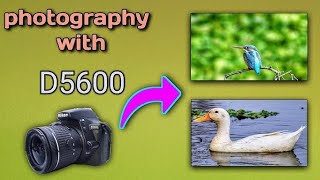 nikon d5600 dslr 70300 Full review 🫠 shorts camera youtubeshort trending nikon [upl. by Suiratnauq883]