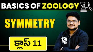 Symmetry  Basics Of Zoology  Class 11  AP amp TS Boards  Telugu [upl. by Atiuqer]