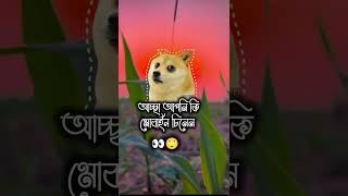 আচ্ছা আপনি কি মোবাইল চিনেন 🤣🤣🤣🤣🤣 [upl. by Enilegnave]