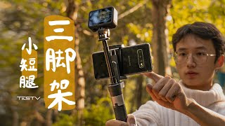 199元！方便实用的Vlog三脚架值得买吗？蒲公英三脚架【值不值得买第459期】 [upl. by Wiburg]